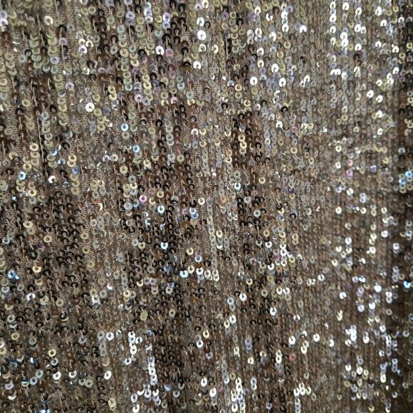 Cable & Gauge NWT Sequin Champaign Pencil Skirt Pull on Size L - Picture 4 of 10